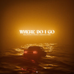 Nicky Romero x Vikkstar x Alpharock x Oaks — Where Do I Go