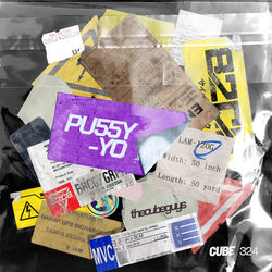 The Cube Guys — Pu55y Yo