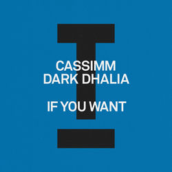 CASSIMM, Dark Dhalia — If You Want
