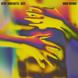 Riton, David Guetta, Jozzy — Where You Want