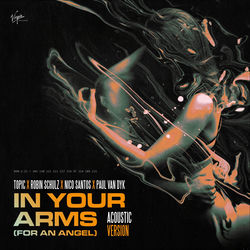 Topic, Robin Schulz,Nico Santos,Paul van dyk — In your arms for an angel