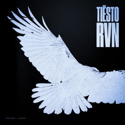 Tiësto — RVN (Raven)