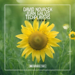 David Novacek, Juan Galvis & Techplayers — La Luna
