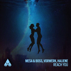 Mesa & Boss, Vorwerk, HALIENE — Reach You (Zack Martino & Matt Steffanina Remix)