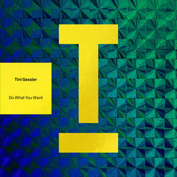Tini Gessler — Do What You Want (Extended Mix)