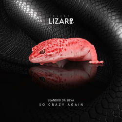 Leandro Da Silva — So Crazy Again