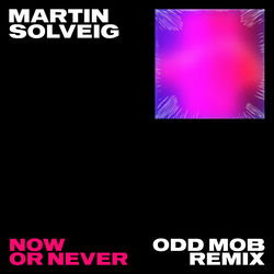 Martin Solveig , Faouzia — Now or never