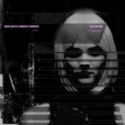 David Guetta, MORTEN, Prophecy — Kill The Vibe