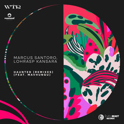 Marcus Santoro & Lohrasp Kansara — Haunted (feat. Mavhungu)