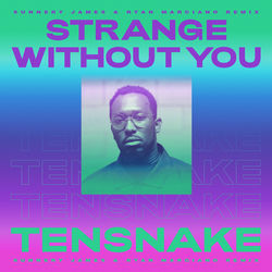 Tensnake feat. Daramola — Strange Without You (Sunnery James & Ryan Marciano Remix)