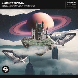 Ummet Ozcan — Strange World