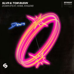SLVR & Tom Budin — Down