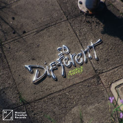 Pickle & TOYZZ — So Different