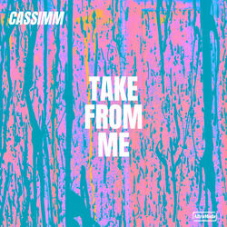 CASSIMM — Take From Me