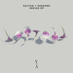 Sultan + Shepard — Indigo