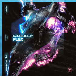 Sam Shelby — Flex