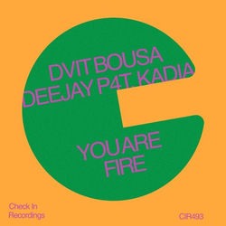 Dvit Bousa, Kadia, Deejay P4T — You Are Fire