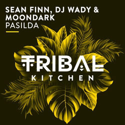 Sean Finn & DJ Wady & Moondark — Pasilda (CASSIMM Remix)