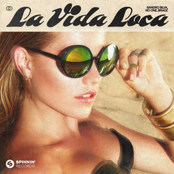 Sandro Silva, No ONe, Brace — La Vida Loca