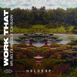 Mr. Belt & Wezol, Tom Budin — Work That