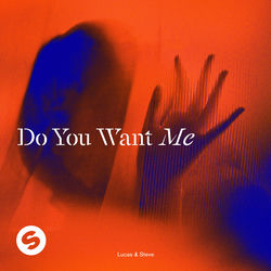 Lucas & Steve — Do You Want Me