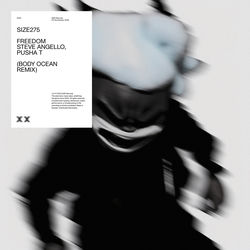 Steve Angello ft. Pusha T — Freedom (Body Ocean Extended Remix)