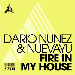 Dario Nunez & Nuevayu — Fire In My House