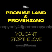 You Can't Stop The Love