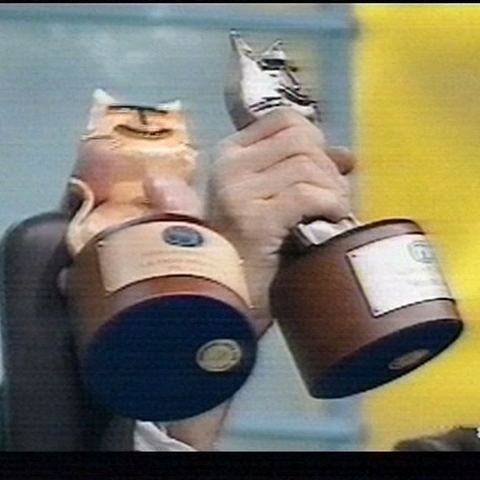 Provenzano DJ, Telegatto 1995