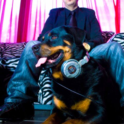 Provenzano DJ, Photo shoots